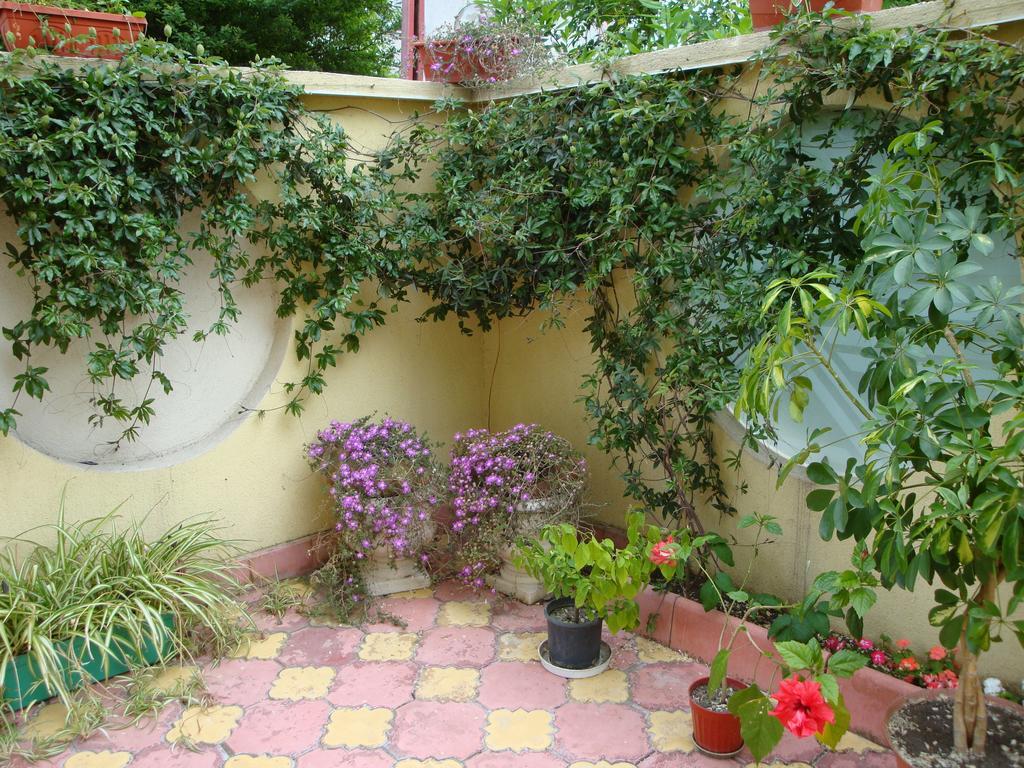 Stela Guest House Tsarévo Chambre photo