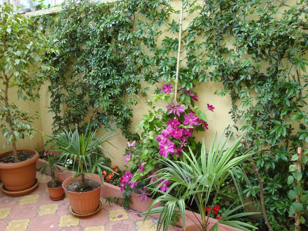 Stela Guest House Tsarévo Extérieur photo